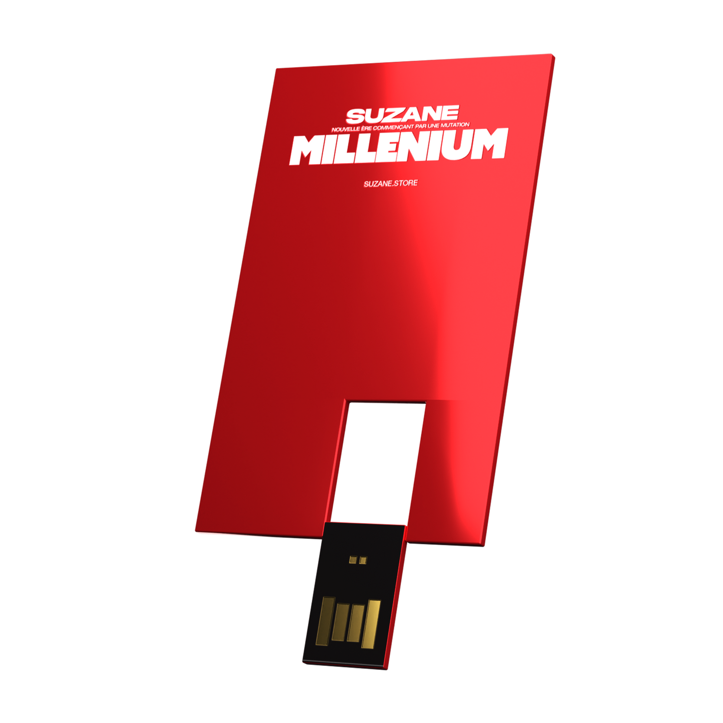 Millénium Pass (carte USB)