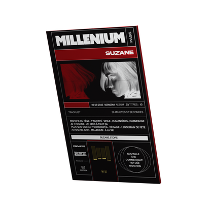 Millénium Pass (carte USB)
