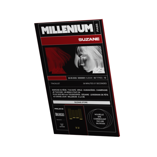 Millénium Pass (carte USB)